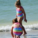 Looking for shells